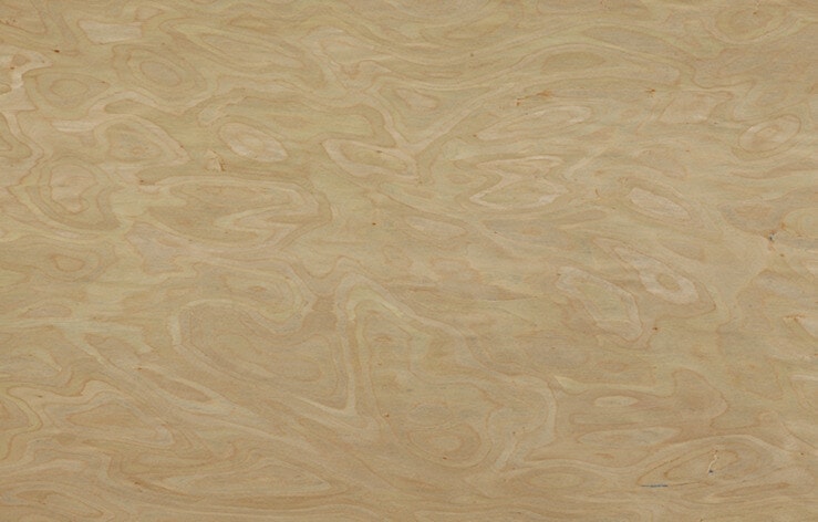 birch-veneer birch veneer