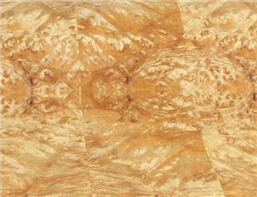 Raíz de golden Raíz de golden